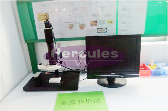 CCD microscope